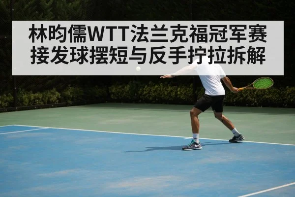 林昀儒WTT法兰克福冠军赛接发球摆短与反手拧拉拆解
